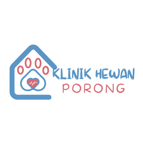 Gambar klinik hewan porong